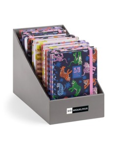 AG.ESC.MR.CAT. ACADEMY ACTIVA EXP.17