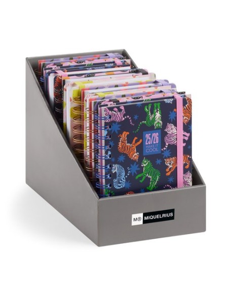 AG.ESC.MR.CAT. ACADEMY ACTIVA EXP.17