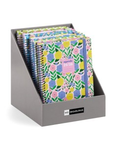 AG.ESC.MR. TEEN PLUS EXP.10