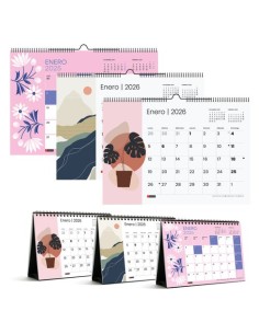 CAL.MR. TRENDS LOTE 24