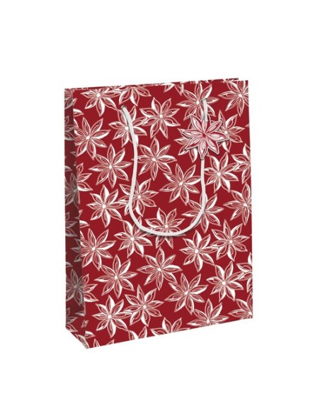 BOLSA PAPEL KRAFT  33x26 CITRICOS P/6