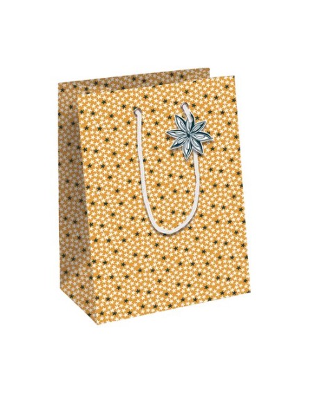 BOLSA PAPEL KRAFT  25x22 CITRICOS P/6