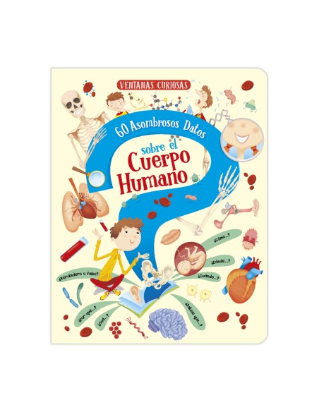 60 ASOMBROSOS DATOS SOBRE EL CUERPO HUMANO