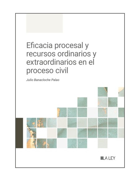 Eficacia procesal y recursos ordinarios y extraordinarios en el proceso civil