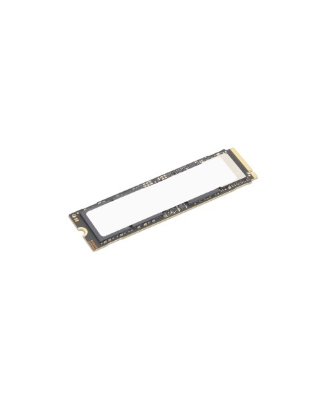 4XB1S30116 unidad de estado sólido 4 TB M.2 PCI Express 5.0 NVMe