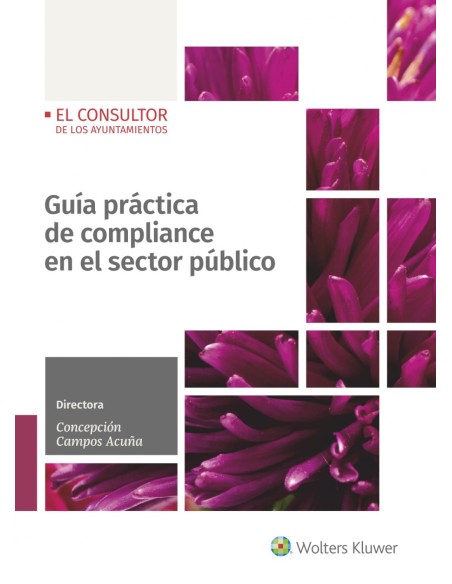 Guia practica de compliance en el sector publico