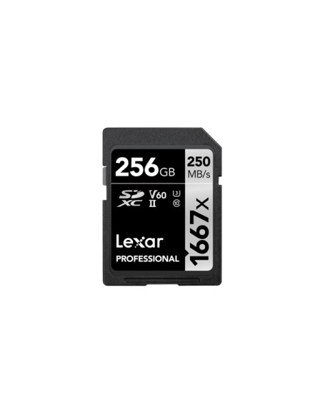 SDXC, 256 GB UHS-II Clase 10