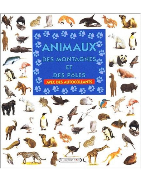 2026Agenda almanac del cordill