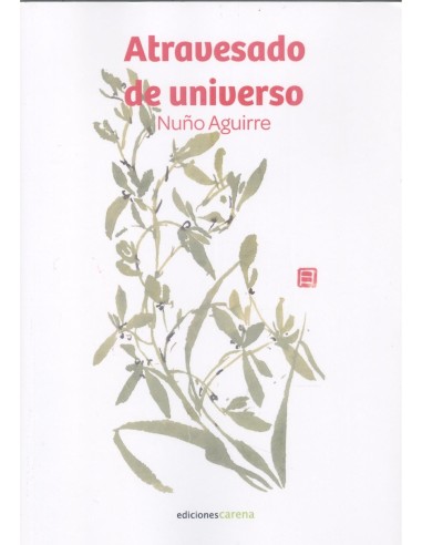 Atravesado de universo