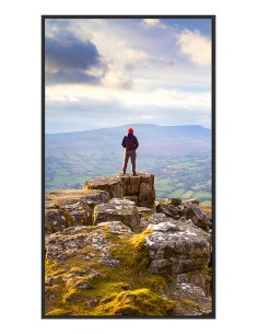 PN-E439 Pantalla plana para señalización digital 109,2 cm (43") LCD 350 cd / m² 4K Ultra HD Negro 16/7