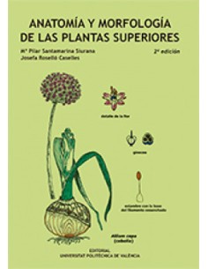 Anatomia y morfologia de las plantas superiores