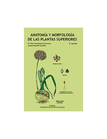 Anatomia y morfologia de las plantas superiores