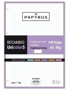 RECAMBIO PAPYRUS A4 100h MULTIT.CD.5 PAS - Pack de 24 unidades