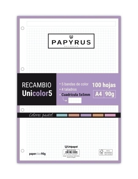 RECAMBIO PAPYRUS A4 100h MULTIT.CD.5 PAS - Pack de 24 unidades