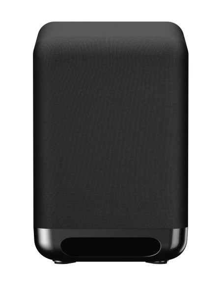 SA-SW5 Negro Altavoz de subgraves (subwoofer) pasivo 300 W