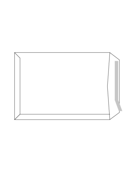 C.250 BOLSAS USO GRAL SAM 100G 250X353 BLANCO A-12