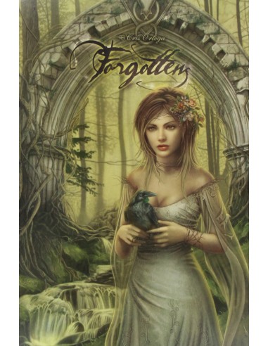 Portafolio Forgotten