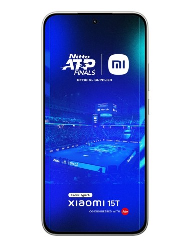 15T 17,4 cm (6.83") 12 GB 512 GB 5500 mAh Gris