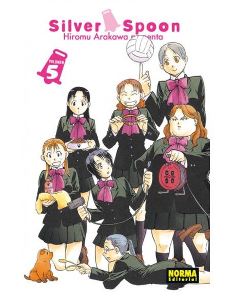 Silver Spoon 5