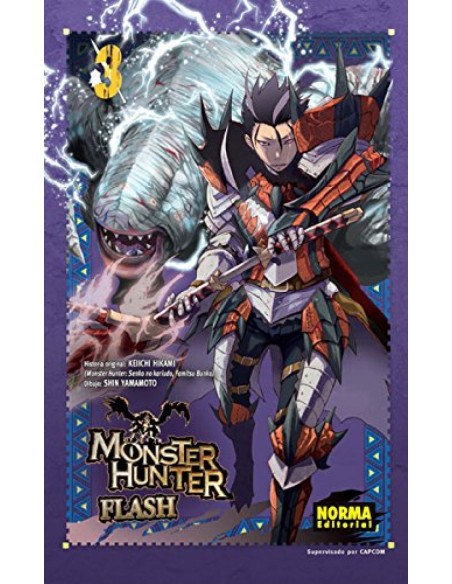 Monster Hunter Flash 3