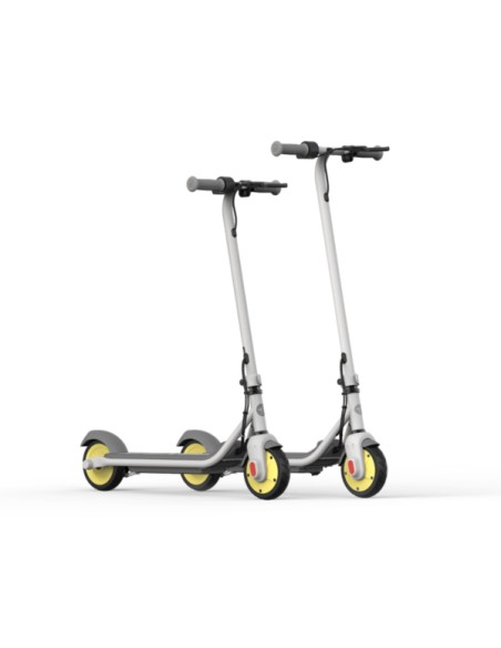 Zing C10 16 kmh Gris 2,5 Ah