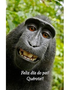 POSTAL Feliz dia do Pai III