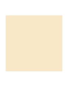 PAQ 25 CARTULINAS IRIS 50X65 185G COLOR CARNE