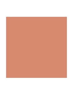 Paq 25 cartulinas iris 50x65 185g coral