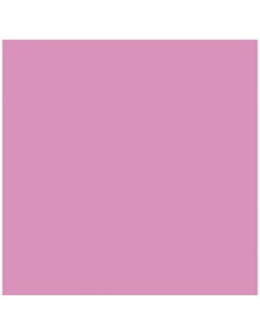PAQ 25 CARTULINAS IRIS 50X65 185G ROSA CHICLE