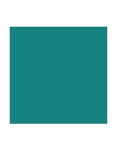 PAQ 25 CARTULINAS IRIS 50X65 185G VERDE MENTA