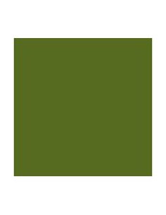 PAQ 25 CARTULINAS IRIS 50X65 185G VERDE SAFARI