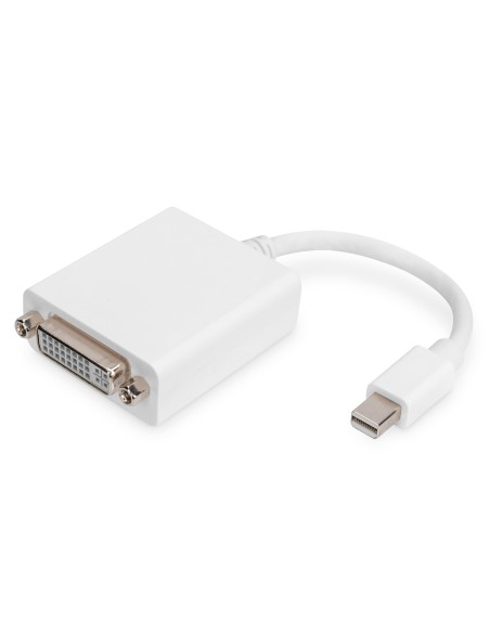 Cable adaptador DisplayPort