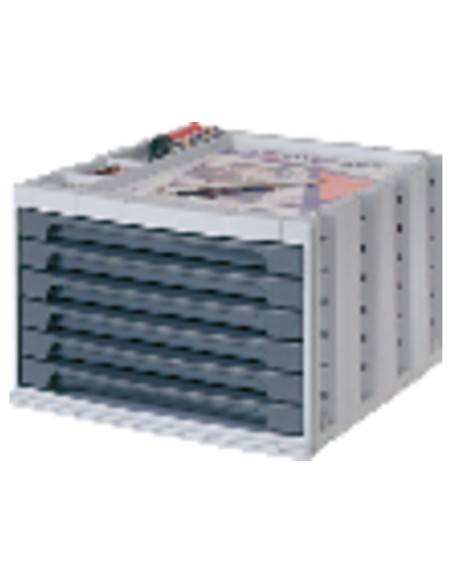 ARC MODULO 6 CAJ CLASIF GR 600 6PGS