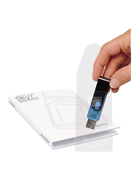 3L FUND LLAVE USB + CARP ORG 4GB 10250