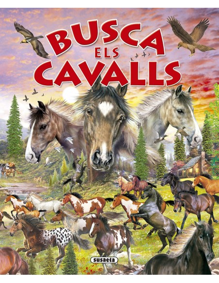 Busca els cavalls i ponis Busca