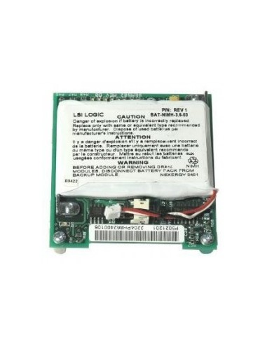 RAID Smart Battery