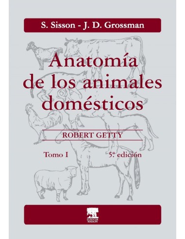IAnatomia de los animales domesticos