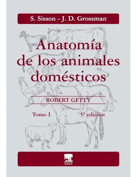 IAnatomia de los animales domesticos