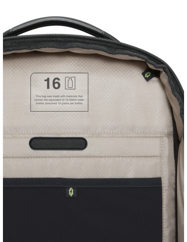 ThinkPad Professional 16-inch Gen 2 mochila Mochila informal Negro Plástico