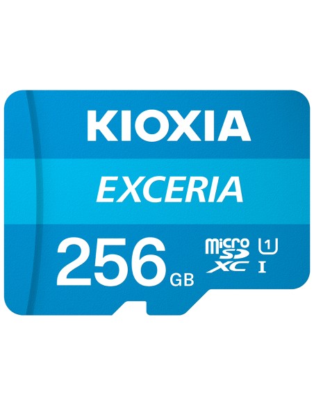 Exceria 256 GB MicroSDXC UHS-I Clase 10