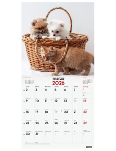 CAL.FIN. PARED 300x300 PERROS Y GATOS