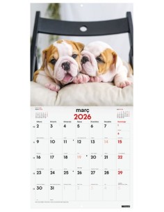 CAL.FIN.CAT. PARET 300x300 CADELLS