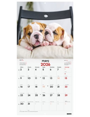 CAL.FIN.CAT. PARET 300x300 CADELLS