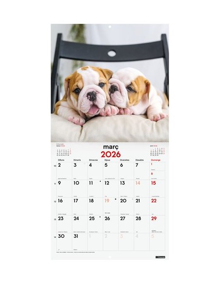 CAL.FIN.CAT. PARET 300x300 CADELLS