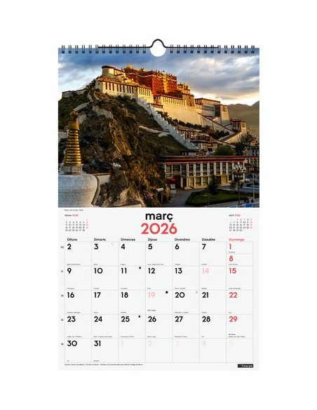 CAL.FIN.CAT. PARET 250x400 MERAV.MON