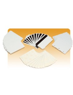 Premier Plus PVC Composite Cards tarjeta de visita 500 pieza(s)