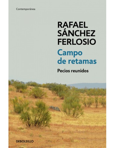 CAMPO DE RETAMAS