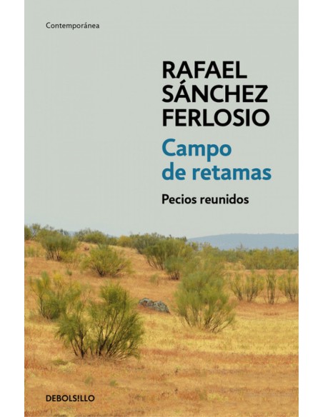 CAMPO DE RETAMAS