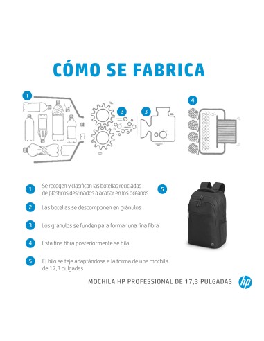 Professional 17.3-inch Backpack