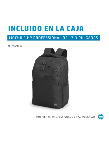 Professional 17.3-inch Backpack